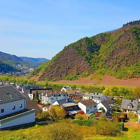 Apartment Scheuer Cochem